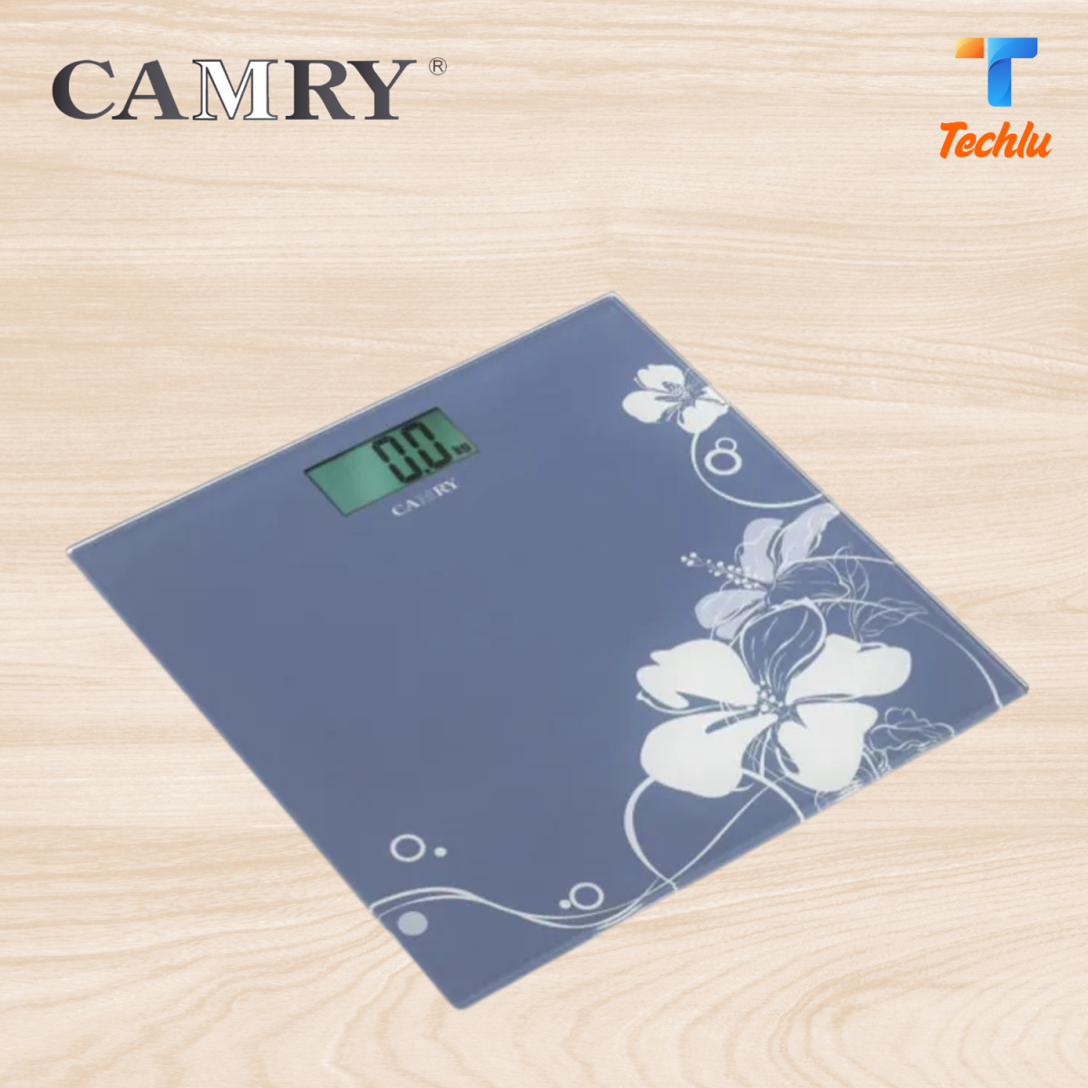 CAMRY BODY SCALE (1) CAMRY BODY SCALE