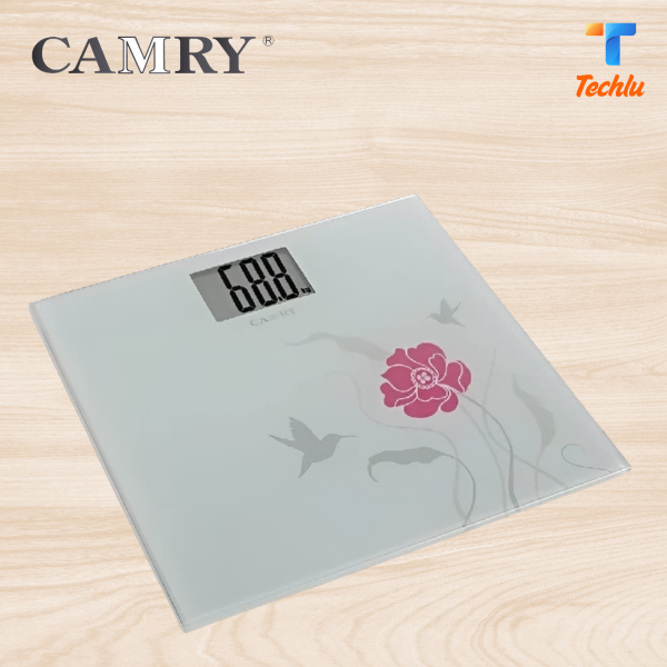 LT CAMRY BODY SCALE-