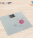 LT CAMRY BODY SCALE-